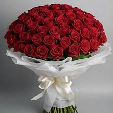 Букет 101 Красная роза Блэк Мэджик в Комгарон