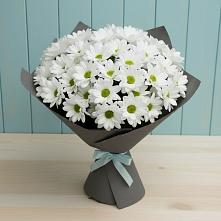Букет цветов из:  Хризантемы в Комгарон