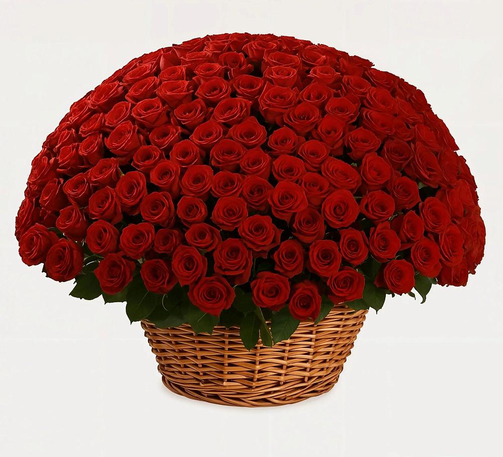 Премиум букет из: Розы в Комгарон