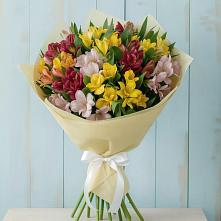 Букет цветов из:  Альстромерии в Комгарон