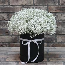 Цветочная композиция из Гипсофила в шляпной коробке в Комгарон