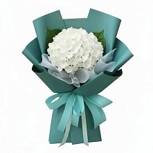 Букет цветов из:  Гортензия в Комгарон